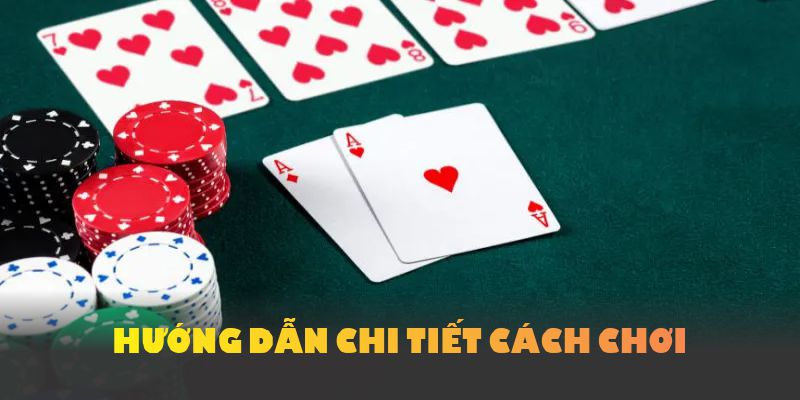 Hướng dẫn chi tiết cách chơi Catte tại cổng game Yo88